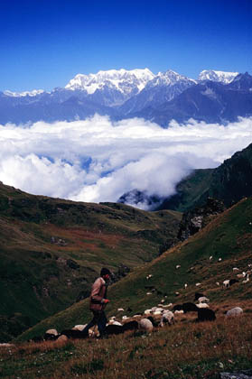 India_himalayas_day3_06a