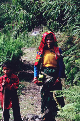 India_himalayas_day5_04