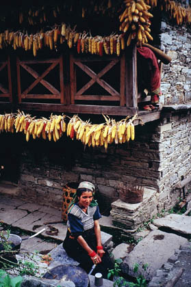 India_himalayas_day5_05
