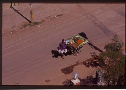India_bang_neigh02