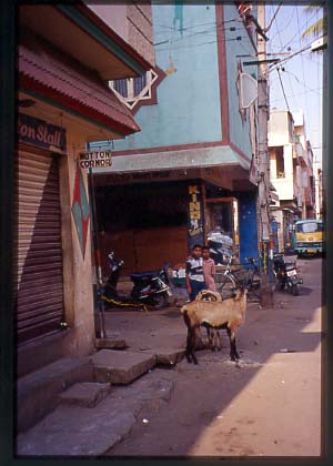 India_bang_neigh07
