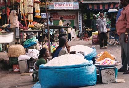 India_bang_neigh15