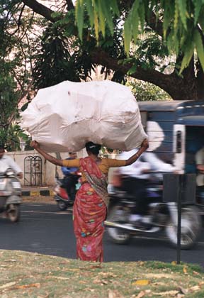 India_bang_neigh19