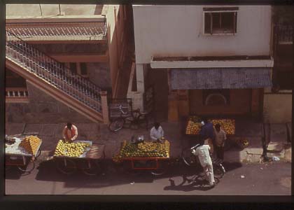 India_bang_neigh23