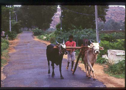 India_hampi_people05