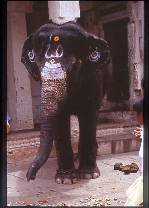India_hampi_people07