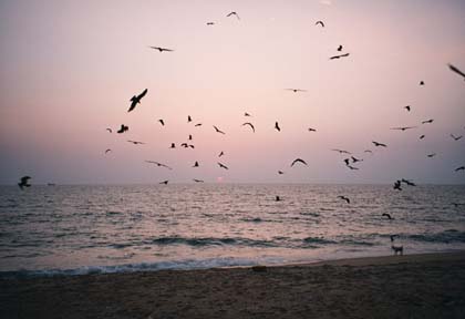 India_karnatka_coast05