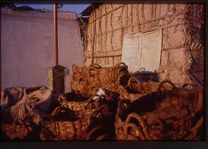 India_mang_river02