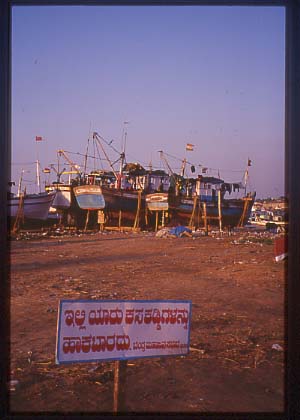 India_mang_river08