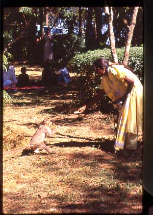 India_nandi_hills05