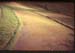 India_West_Ghats02