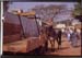 India_bang_neigh06