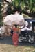 India_bang_neigh19