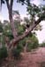 India_karnatka_coast01