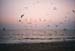 India_karnatka_coast05