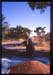 India_nandi_hills13