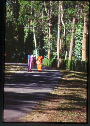 India_Coorg_a_roadto01_walkers01.jpg