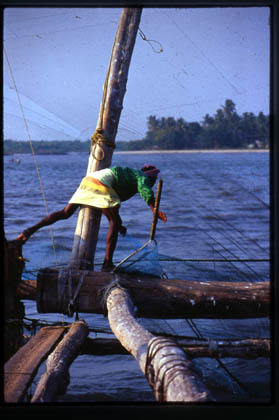 India_kerala_boats03.jpg